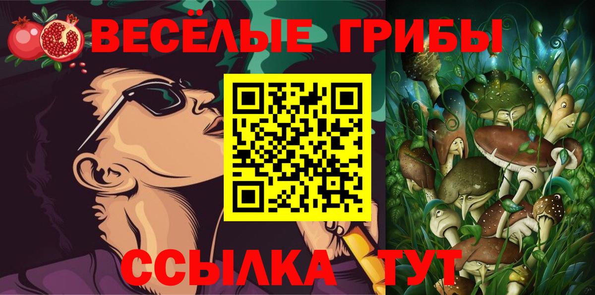 Галлюциногенные грибы GOLDEN TEACHER  Псилоцибиновые грибы Cubensis  Партизанск  Вход с VPN 